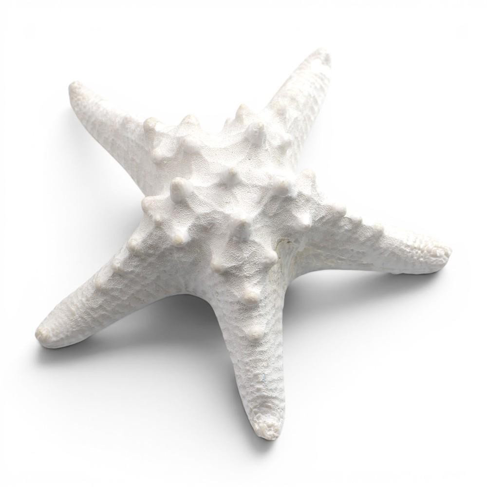 STELLA MARINA 16X16X4 BIANCA